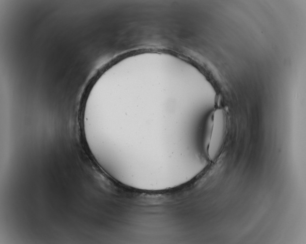 X0000086951168200705141816