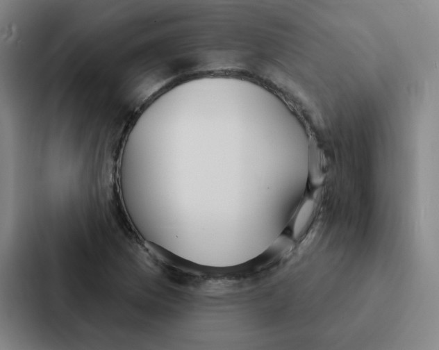 X0000086951169200705141816