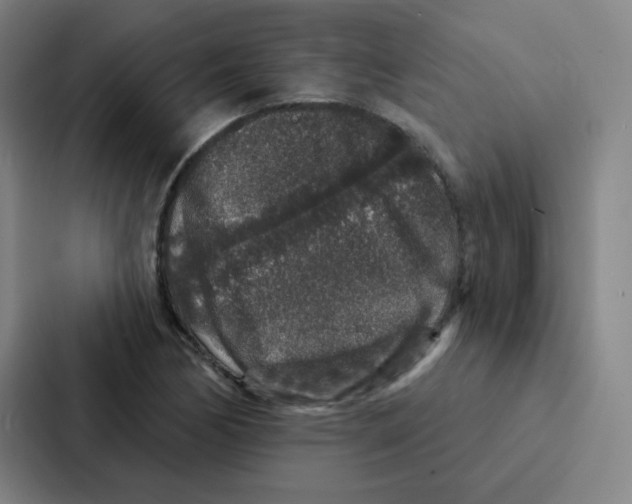 X0000086951170200705141816