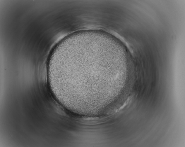 X0000086951171200705141816