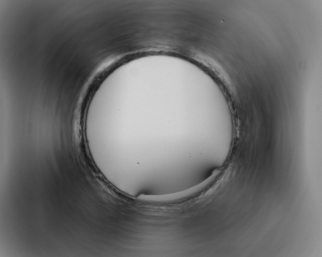 X0000086951172200705141816