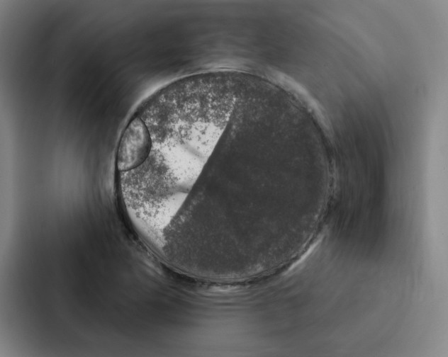 X0000086951174200705141816