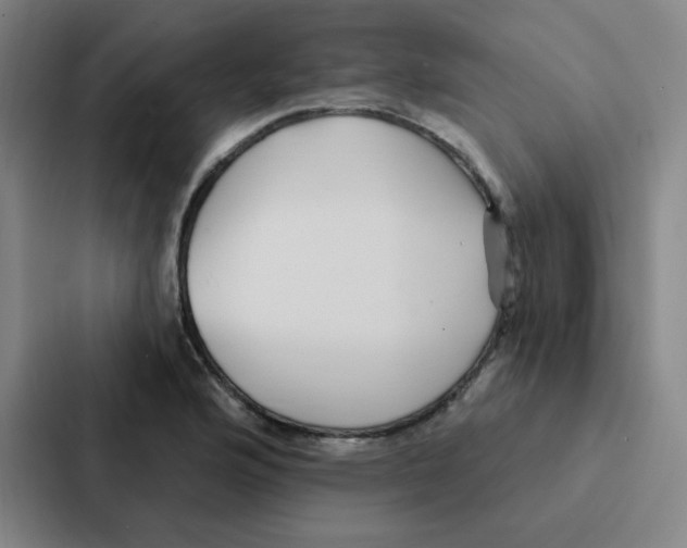 X0000086951176200705141816