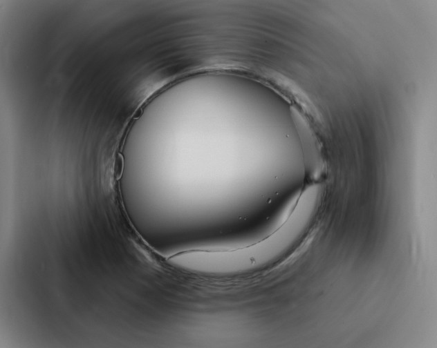 X0000086951177200705141816