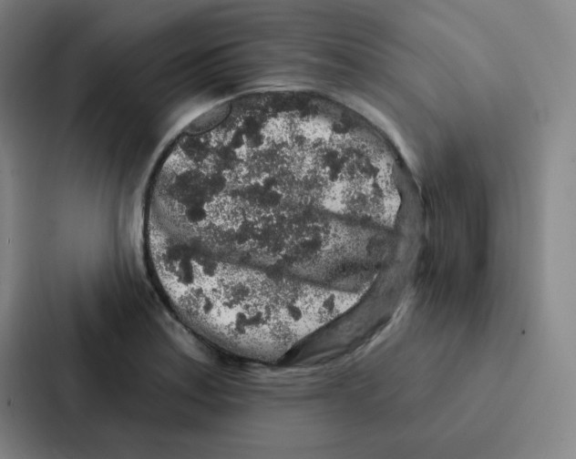 X0000086951179200705141816