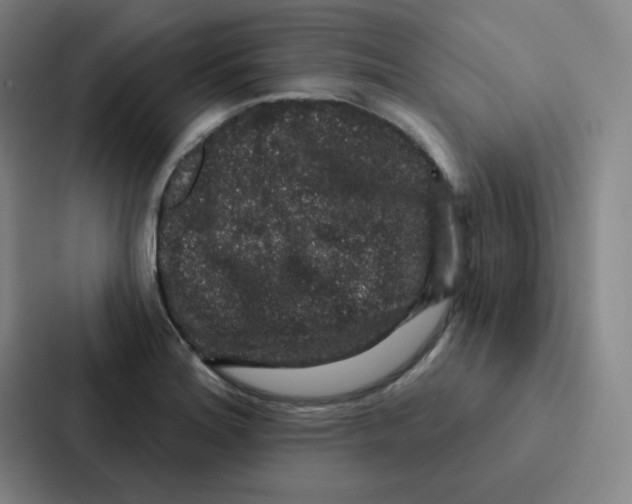 X0000086951180200705141816