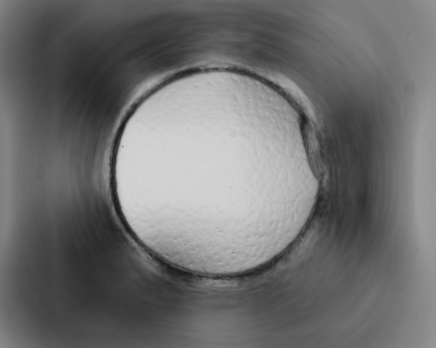 X0000086951183200705141816