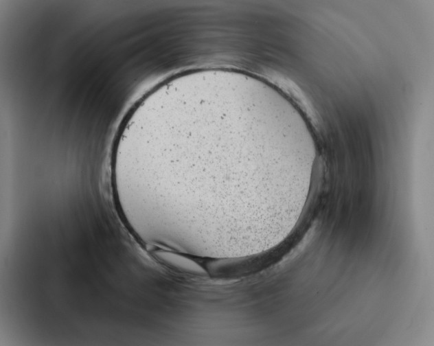 X0000086951184200705141816