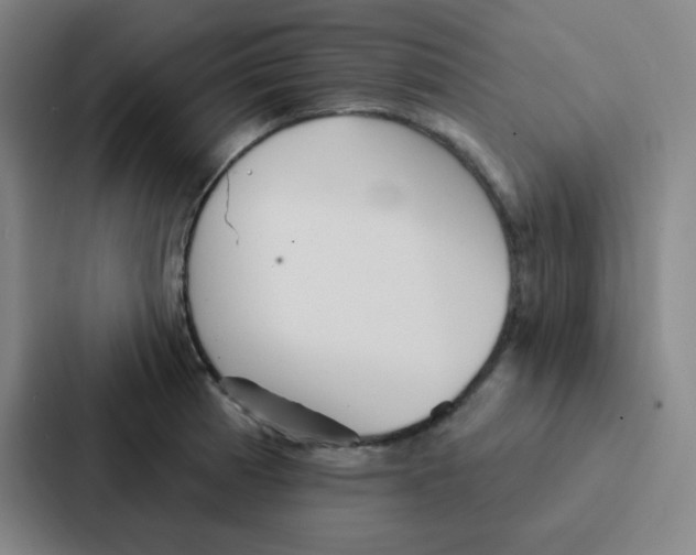 X0000086951185200705141816