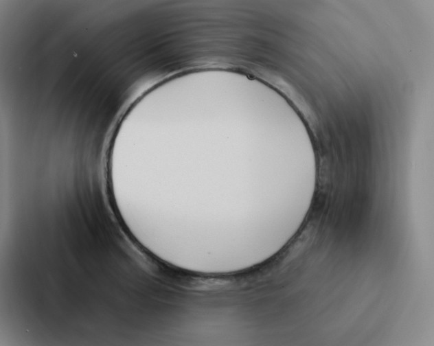 X0000086951187200705141816