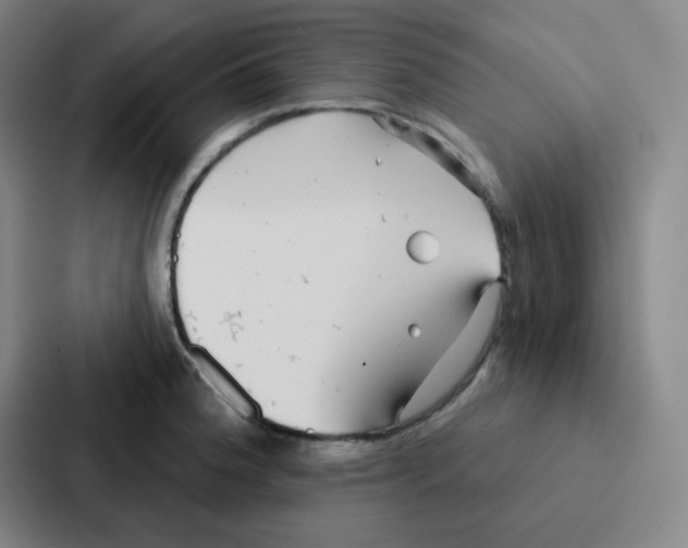 X0000086951188200705141816