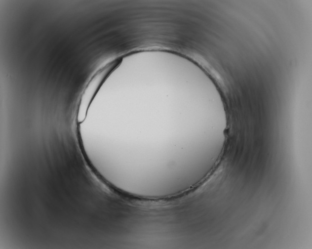 X0000086951189200705141816