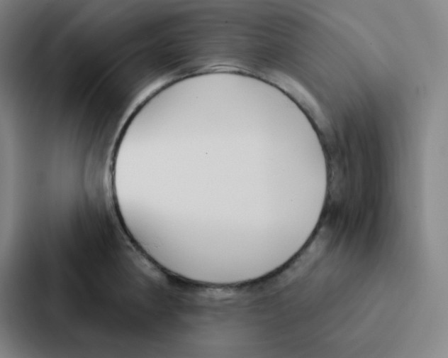 X0000086951190200705141816