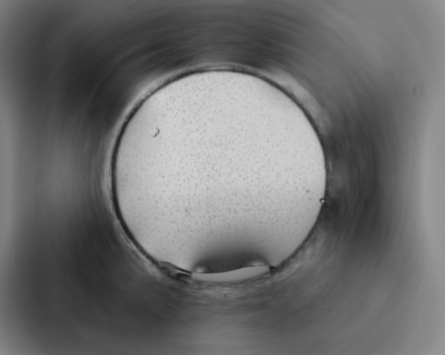 X0000086951191200705141816