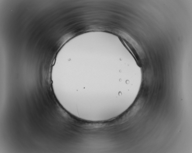 X0000086951193200705141816