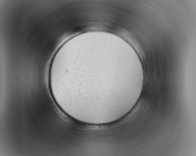 X0000086951195200705141816