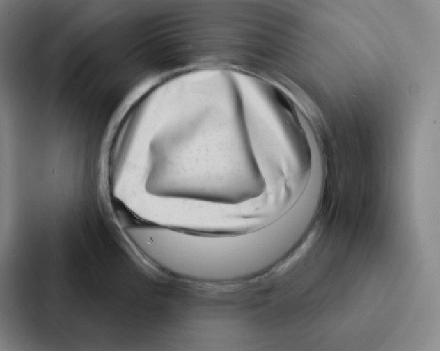 X0000086951196200705141816