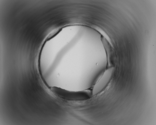 X0000086951197200705141816