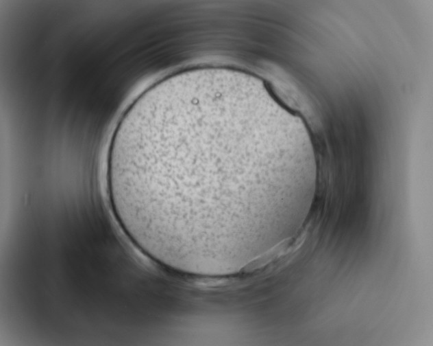 X0000086951199200705141816