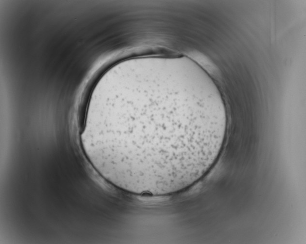 X0000086951200200705141816