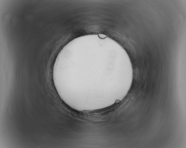 X0000086951201200705141815