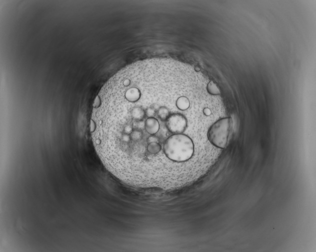 X0000086951203200705141815