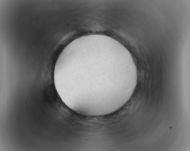 X0000086951205200705141815