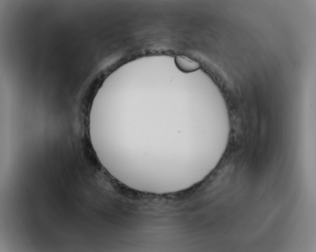 X0000086951207200705141815