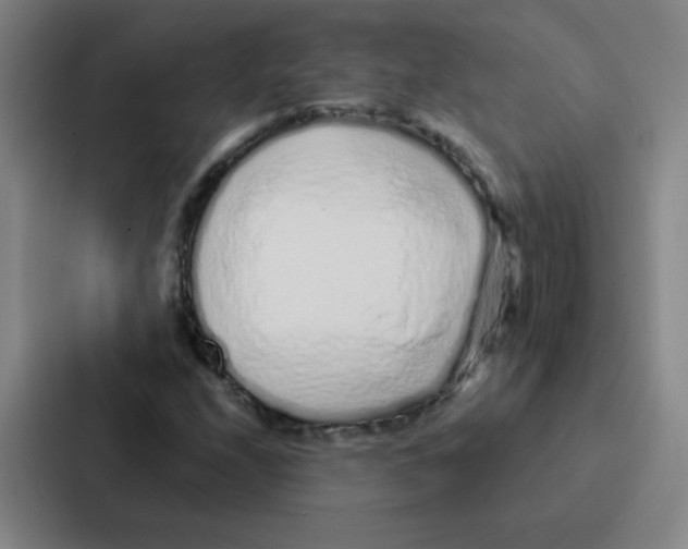 X0000086951208200705141815