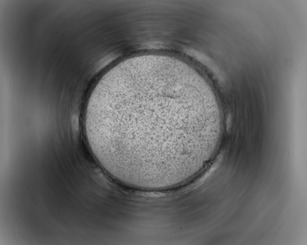 X0000086951209200705141815