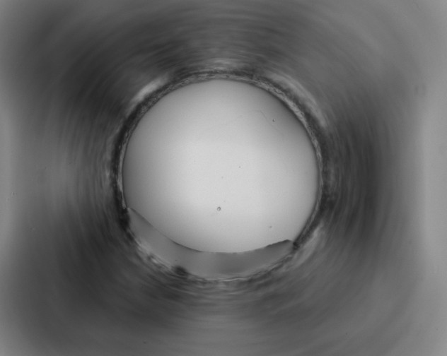 X0000086951210200705141815