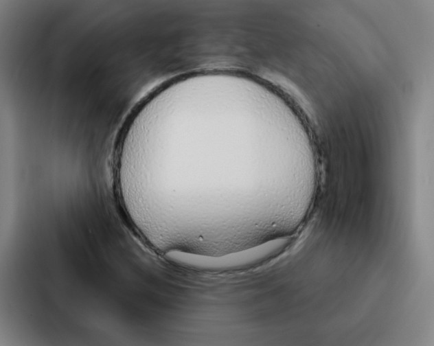 X0000086951212200705141815