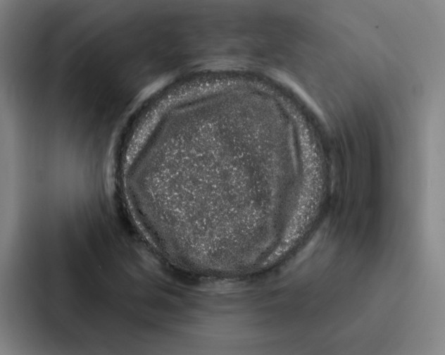 X0000086951213200705141815