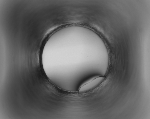 X0000086951214200705141815