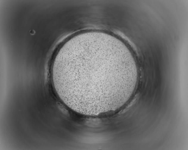 X0000086951215200705141815