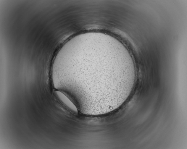 X0000086951217200705141815