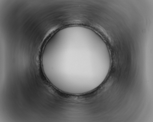 X0000086951218200705141815