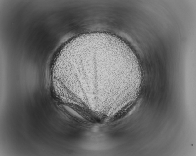 X0000086951219200705141815