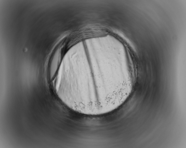 X0000086951221200705141815