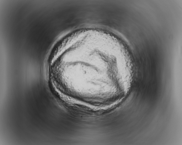 X0000086951223200705141815