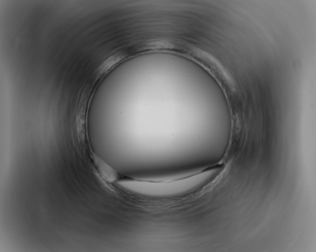 X0000086951225200705141815