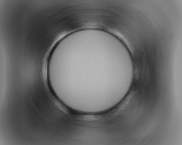 X0000086951227200705141815