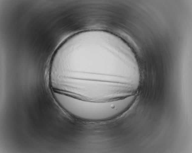 X0000086951228200705141815