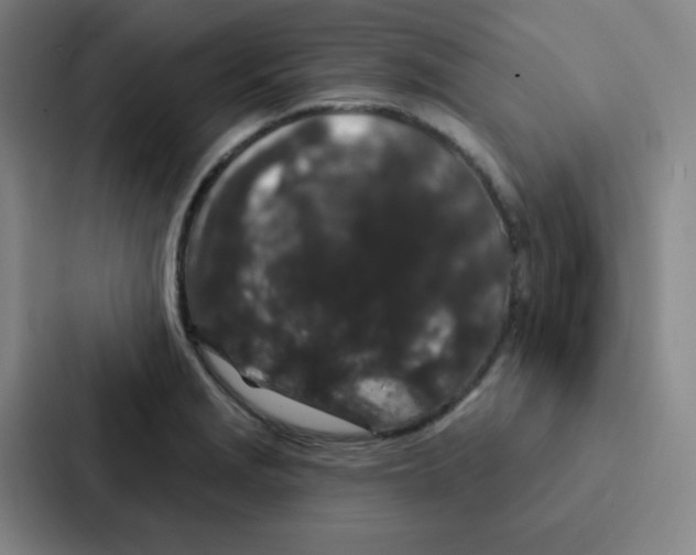 X0000086951229200705141815