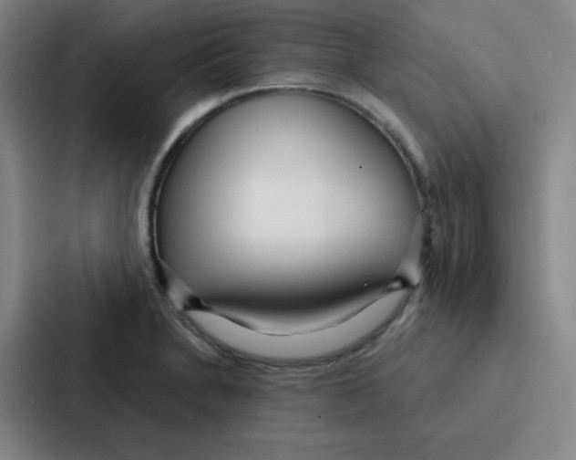 X0000086951230200705141815