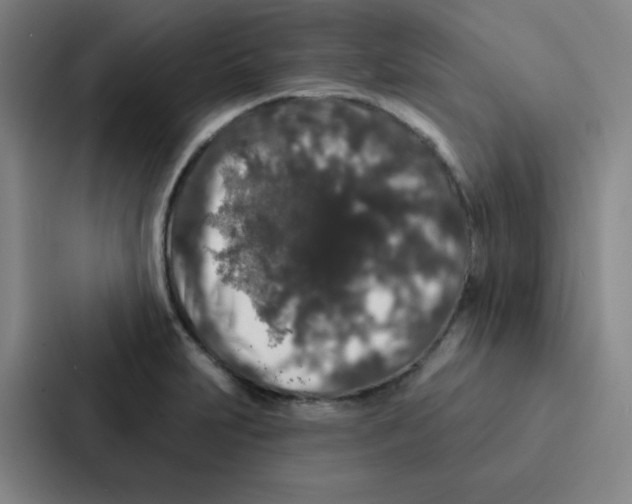 X0000086951231200705141815