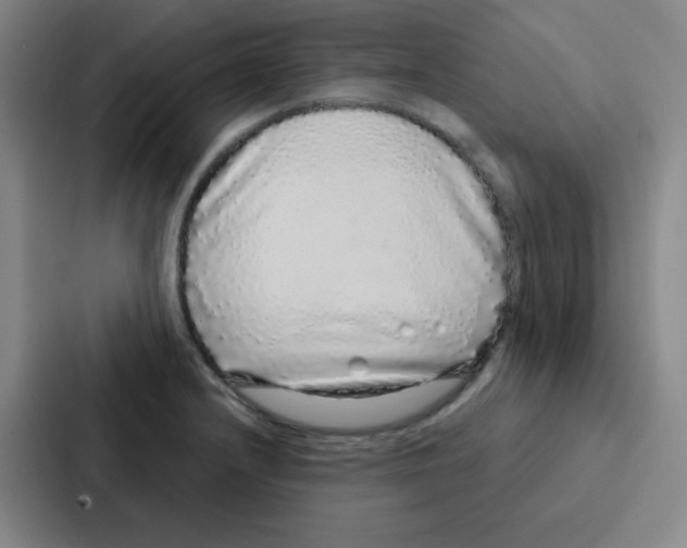 X0000086951232200705141815