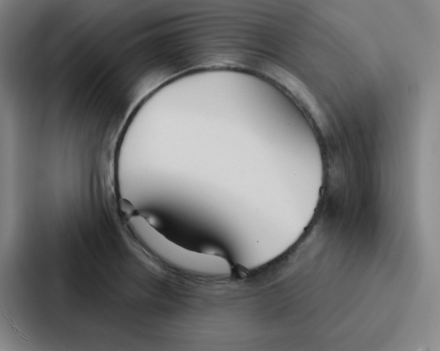 X0000086951234200705141816