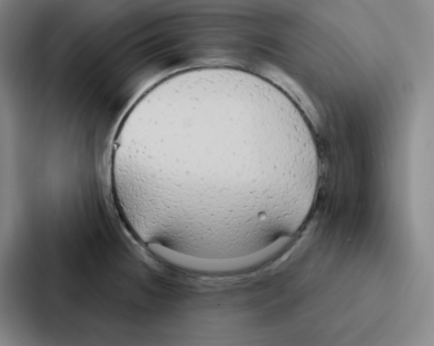 X0000086951236200705141816