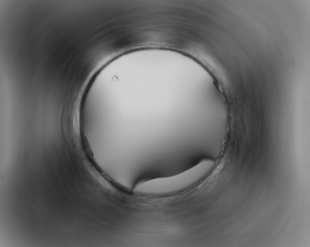 X0000086951238200705141816